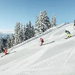Apartmán Alpenparks & Areitxpress Zell am See