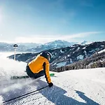Alpenparks & Areitxpress *