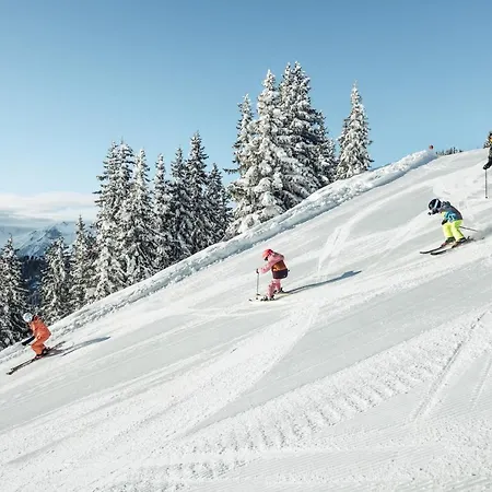 Daire Alpenparks & Areitxpress Zell am See