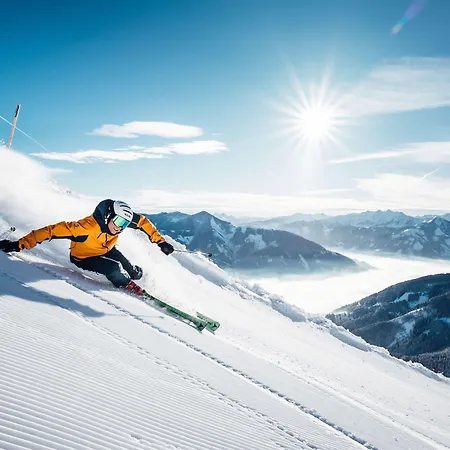 Alpenparks & Areitxpress Zell am See