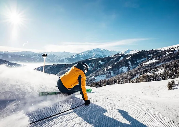 Alpenparks & Areitxpress *